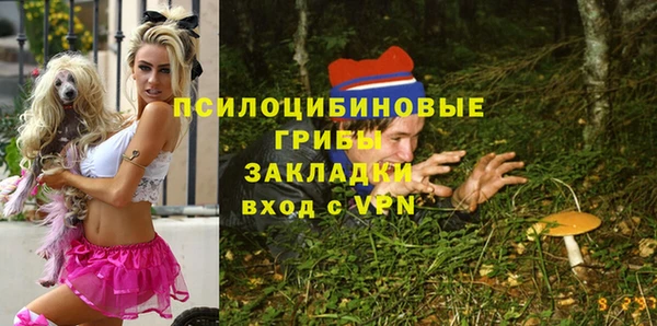 метадон Алексеевка