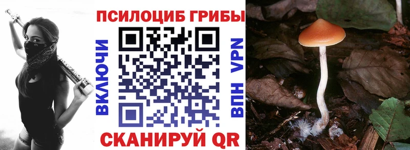 продажа наркотиков  Малаховка  Псилоцибиновые грибы GOLDEN TEACHER 